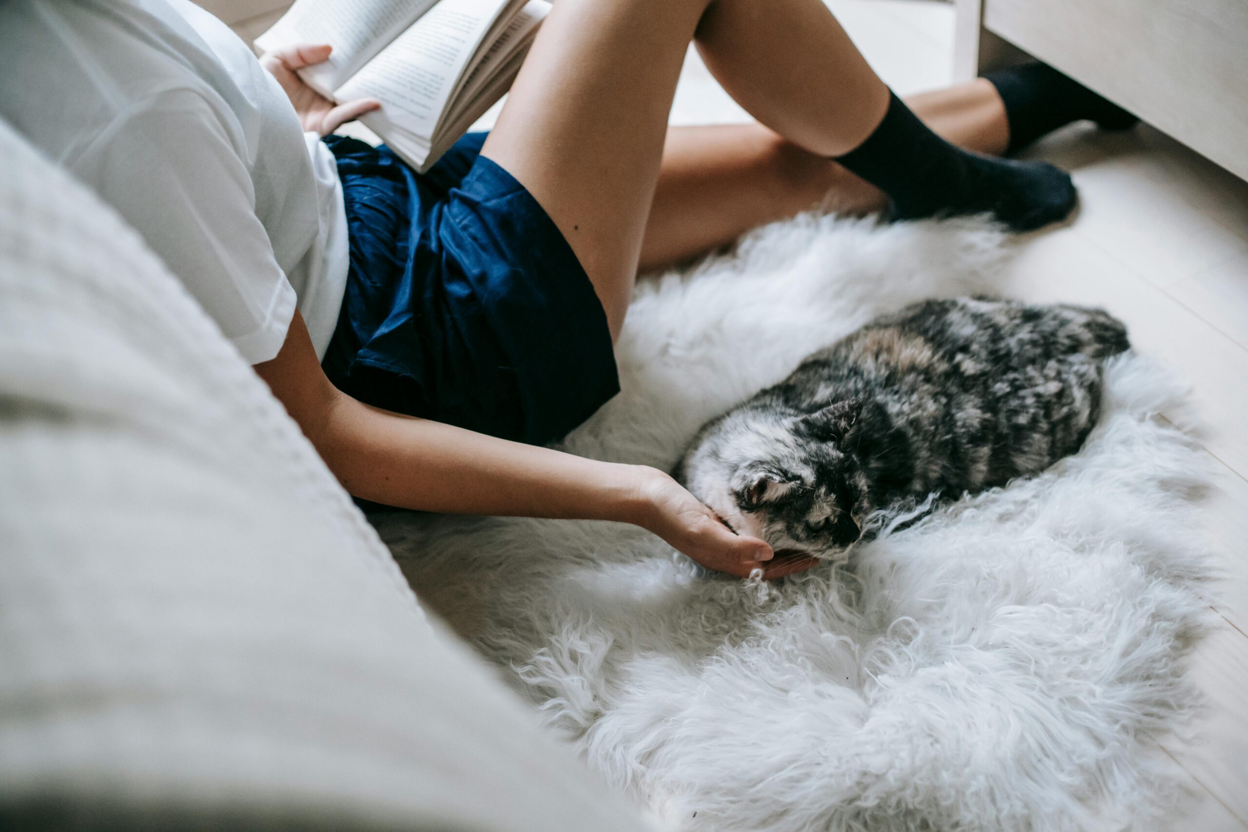 Entspannter Moment – gemütlich ein Buch lesen, während die Katze auf dem flauschigen Teppich kuschelt